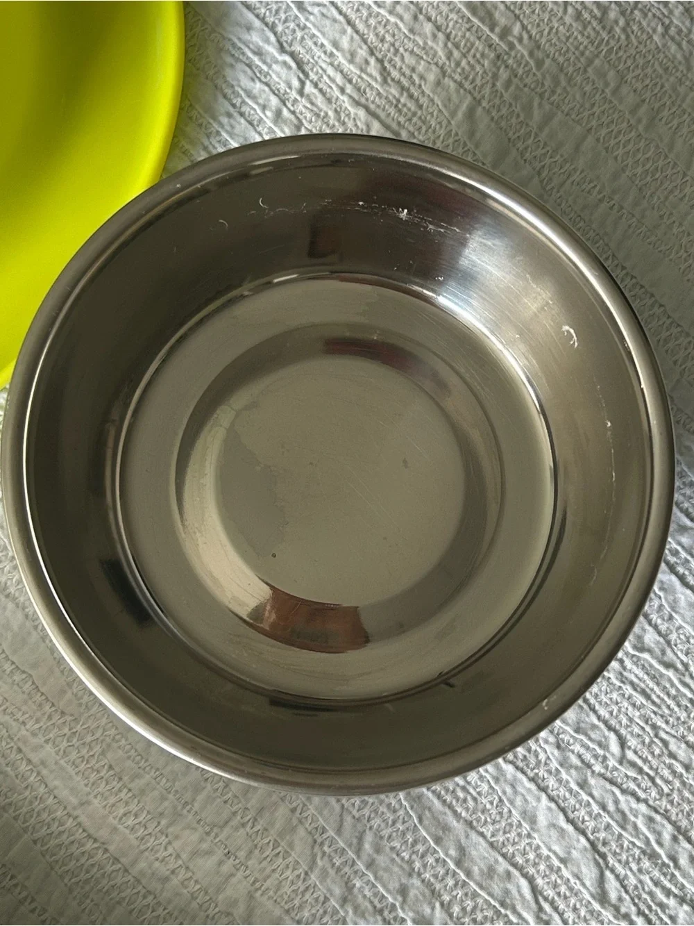 Mod -Double Stainless Steel Pet Bowls in Lime Yellow Stand